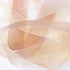 Sheer Ribbon Organza Ribbon 1 Inch x 150Yd 6 Rolls Brown Sheer Chiffon Ribbon Sheer Organza Ribbon Clear Fabric Ribbon for Gift Wrapping Wedding B...