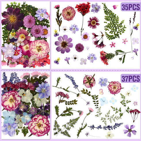Nuanchu 167 Pcs Real Dried Pressed Flowers Natural Dried Flowers Colorful Dry Daisy Flowers Mixed Dried Flowers for DIY Candle Resin Nails Jewelry...