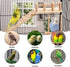 Bird Perches Platform Swing with Climbing Ladder, Parakeet Cage Accessories Wooden Playing Gyms Exercise Sturdy for Small Birds...
