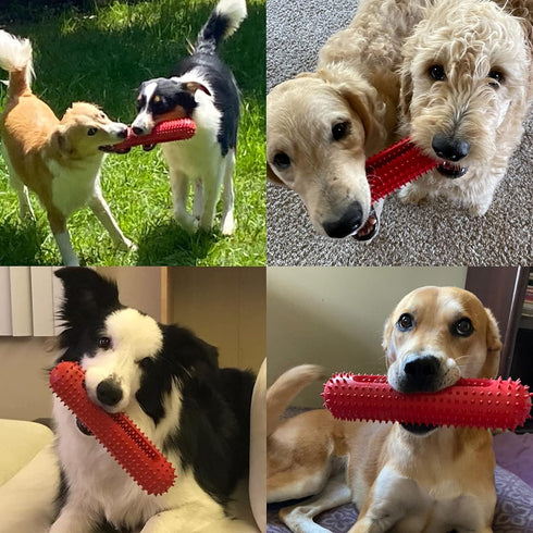 petizer Dog Squeaky Toys for Aggressive Chewers, Tough Toothbrush Dog Chew Toy, Nearly Indestructible Rubber Toys for Pet Training, Teeth Cleaning...