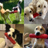 petizer Dog Squeaky Toys for Aggressive Chewers, Tough Toothbrush Dog Chew Toy, Nearly Indestructible Rubber Toys for Pet Training, Teeth Cleaning...