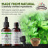 Parsley Leaf Tincture Alcohol-Free Extract, Organic Parsley (Petroselinum crispum) Dried Leaf - Non-GMO in Cold-Pressed Organic Vegetable Glycerin...