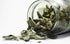 Organic Way Lungwort Dried Leaves (Pulmonaria Officinalis) Cut & Sifted - Herbal Tea | Organic & Kosher Certified | Raw, Vegan, Non GMO & Gluten F...