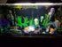 LED Aquarium Light, 7.5inch Colorful Fish Tank Light Submersible Underwater Crystal Glass LEDs Lights, 9 LEDs Beads, Brightness Adjustable Memory ...