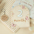 Monthly Baby Milestone Wooden Circle - Baby Monthly Milestone Sign - Months Baby Milestone Signs Cards - Newborn Gift for Girl and Boy - 1-12 Mont...