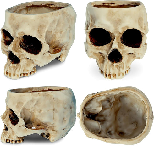 READAEER Skull Bowl Resin Skull Shaped Planter Flower Pot Candy Bowl for Home Office Indoor Desk Decorations - White...