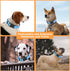 2 Pack Reflective Dog Collar with Safety Locking Buckle, Adjustable Soft Breathable Comfortable Nylon Pet Collar for Small, Medium and Large Dogs,...