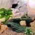 Reptile Artificial Plants, Terrarium Plants Decorations Supplies, Aquarium Fish Tank Plant, Amphibian Habitat Hideout Tank Accessories (M Set-2pcs...