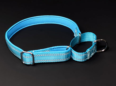 Martingale Dog Collars, Reflective Safety Puppy Collar, Adjustable Soft Nylon Training Dog Collar,Metal Accessories Heavy Duty No Pull Pet Collars...