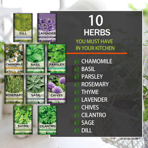 10 Kit Non-GMO Growing into Thyme, Lavender, Chamomile, Dill, Chives, Cilantro, Rosemary, Basil, Parsley, Sage Indoor/Outdoor for Kitchen Windowsi...