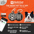 Max & Molly Dog & Puppy Collar with Power Buckle, Fun Style for Small, Medium, Large Dogs & Puppies, Waterproof, Comfortable, Adjustable, includes...
