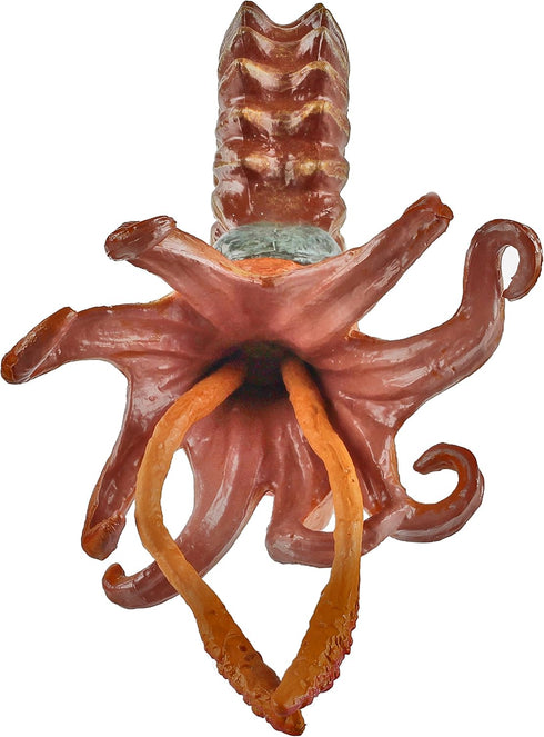 Safari Ltd. Ammonite Figurine - Detailed 5.25" Marine Mollusc Figure - Educational Toy for Boys, Girls, and Kids Ages 3+...