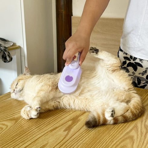 New 3-in-1 Cat Steam Brush With Enhanced Spray, Long Comb Steamy Brush for Shedding, Hair Remover, Cloud Care Water Brush for Long & Short Hair In...