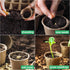 JERIA 50-Pack 3.15 Inch Peat Pots for Seedling with 50 Pcs Plant Labels,Outdoor Garden Germination Nursery Pots,Biodegradable Seed Starter Pots Ki...