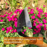 SHANFEEK Grass Sickle Japanese Weeding Hoe Garden Hand Tool Weeding Tools for Garden High-Strength Steel with Solid Wood Handle(Yellow)...