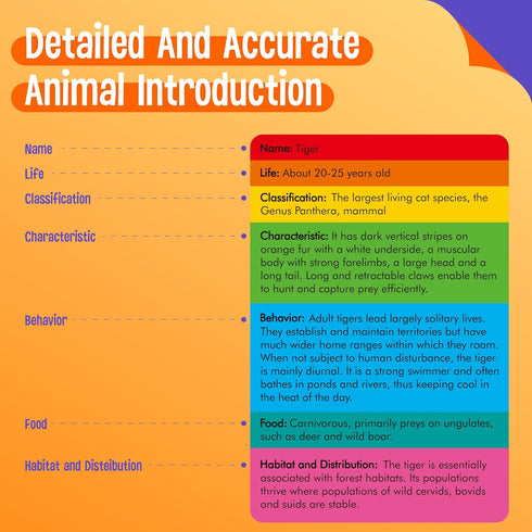 15 PCS Safari Animal Figurines with 15 Introducing Flashcards, Realistic Zoo Animal Figures Montessori Toys Science Educational Matching Game for ...