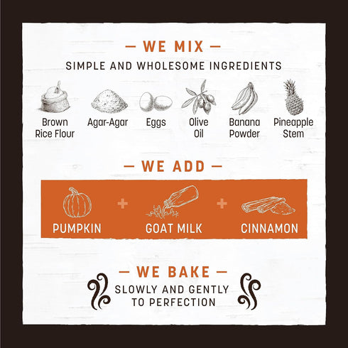 Earth Animal No Hide Strips Pumpkin Spice Flavored Vegetarian Natural Treats | No Rawhide | Quick & Thin Dog Chews | 1 Pack, 4 Count...