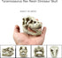 Desert Reptile Decor Skull Fish Tank Decorations Bearded Dragon Accessories Desert Reptile Decor Bearded Dragon Decor, Snake Tank Decor (human + D...