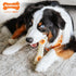 Nylabone Pop-in Dog Treat Toy Refills, All-Natural Dog Treats for Treat Dispensing Toys, Chicken Flavor (90 Count)...