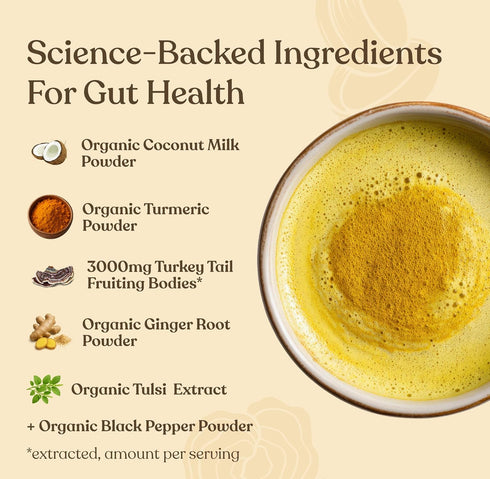 Golden Latte by Four Sigmatic | Organic Instant Golden Latte with Turkey Tail, Turmeric & Coconut Milk Powder | Supports Healthy Skin & Stress | D...