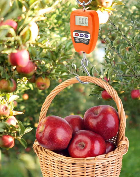 QWORK Hanging Weight Scale, 200kg/440lbs Digital Crane Scales Fish Weighing Scale Aluminum Housing LED Display Scale for Fishing, Weigh Luggage, H...