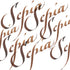 Winsor & Newton Calligraphy Ink, 30ml (1-oz) Bottle, Sepia...