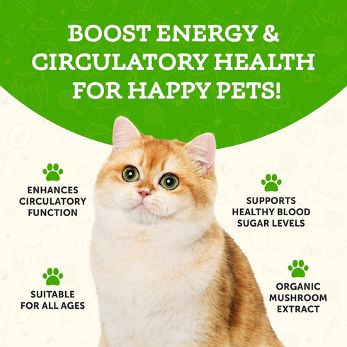 Animal Essentials WELLNESS Maitake Mushroom Supplement for Dogs & Cats - Healthy Immune Response, Supports Circulatory Function, Critical Immune D...