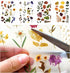 Rub On Transfer Sticker Scrapbook Stickers Flower Stickers Decoration Sticker Planner Stickers Plant Stickers for Scrapbooking Diary Album Journal...