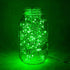 ER CHEN 2 Pack Dimmable USB String Lights, 33ft 100 LED Warm White & Green Color Changing Fairy Lights with Remote&Timer, 8 Modes Silver Coated Co...