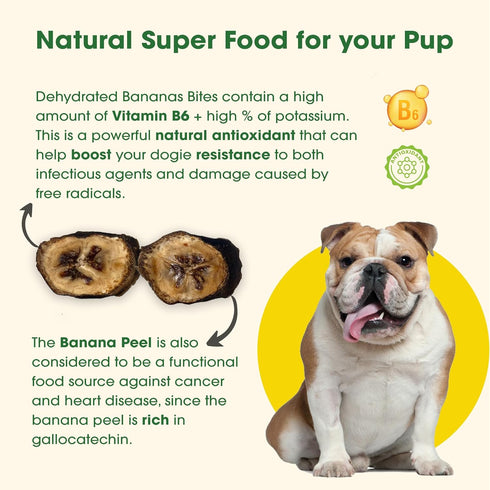 Dehydrated Bananas, Pure Treats. Dehydrated in Small batches by us. Bananas are considered a Super Food...