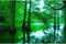 Aquarium Background Tropical Trees Lake Terrarium Background Lush Tropical Leaves Jungle Style Aquarium Decor Rainforest Reptile Habitat Backgroun...