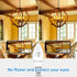E12 LED Candelabra Bulbs 2700K Warm White 3W 60Watt Equivalent,Ceiling Fan Light Bulbs...