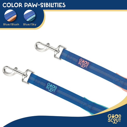 Good Scout Padded Handle Dog Leash, Durable Walking & Training Leash for Puppies & Adult Dogs with 2 Handles, Blue/Sky...