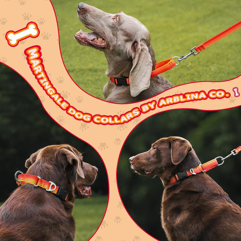 Martingale Dog Collar Light-reflective Polyester Collars for Dogs Whippets, Greyhounds, Saluki, American Bully, No-pull No-escape Safety Training ...