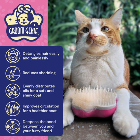 Small 4" Dog Pet Hair Massaging Brush Grooming Tool for Cats Dogs Long or Short Hair Raspberry Pink...