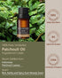 Patchouli Essential Oil - 10 mL (1/3 oz) - Pure, Natural, Therapeutic Grade - for Diffuser, Massage, Skin & Hair Care, Perfume & Candle Making - M...