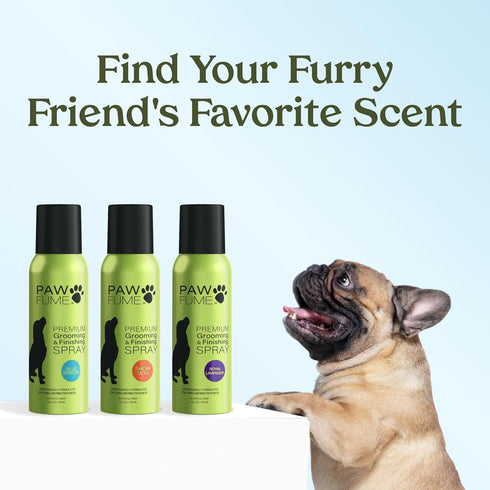 PAWFUME Premium Grooming Spray Dog Spray Deodorizer Perfume for Dogs - Dog Cologne Spray Long Lasting Dog Sprays - Dog Perfume Spray Long Lasting ...