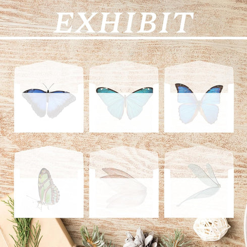 100 Pcs Glassine Envelopes, 7x10cm / 3.9 x 2.7 Inches Clear Envelopes for Seeds Coin Collecting Lottery Ticket Stamp Card, White Translucent Paper...