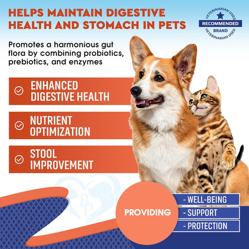 Probiotics & Prebiotics with Enzymes for Dogs and Cats - Digestive Gut Flora Health Pet Food Supplements - Constipation & Diarrhea and Gas Home Re...