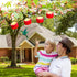 Handheld Hummingbird Feeder with Clips, 4 Pack Window Red Wild Bird Feeders with Cleaning Brush Bottle Funnel Set for Tree Branch Outdoors Hanging...