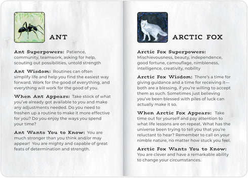 Em & Friends Animal Allies Oracle Deck by Jessica Swift: A Magical 50-Card Oracle Deck with Guidebook...
