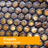 Herb Pharm Propolis Extract for Immune System Support - 1 Ounce...
