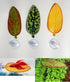4.33 inches Artificial Plant Leaf Betta Hammock Fish Rest Bed Aquariums Supply Leaves (Army green)-3 Pcs...
