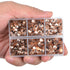 LPBeads 6400 Pieces Champagne Hotfix Rhinestones Flat Back 5 Mixed Sizes Crystal Round Glass Gems with Tweezers and Picking Rhinestones Pen...