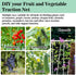 Sukh Garden Plant Trellis Netting -Trellis Net Polyester Trellis Netting Garden Square Mesh Netting for Climbing Plants Fruits Vegetables VinesGro...