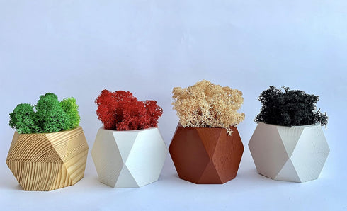 Untitled Succulent Planter - Wooden Pot for Small Flower or Preserved Moss - Indoor Plant Pot for Succulents or Faux Plants - Moss Pots (Natural)...