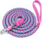 2FT 3FT 4FT 6FT 10FT Reflective Dog Leash- Strong Nylon Rope Braided Dog Training Leash for Extra Large Medium Dogs Walking Leads (Pink 6 Foot 3/4...