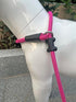 Slip Lead Dog Leash?Strong Nylon Rope Leash Anti-Choking Anti-Pull and Outdoor Walking Training Lead for Small Medium Large Dogs (Fuchsia,1/2"×4ft...