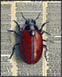 Posterizer 1 pcs-detailed bug on vintage dictionary page 3-Art for Animal Lovers-Vintage Art-Gift for Art Lovers- unframed wall art...