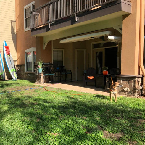 Dog/Puppy Obedience Recall Training Agility Lead-15 ft 20 ft 30 ft 40 ft 50 ft Long Leash -for Training Leash, Play, Safety, Camping,or Backyard (...